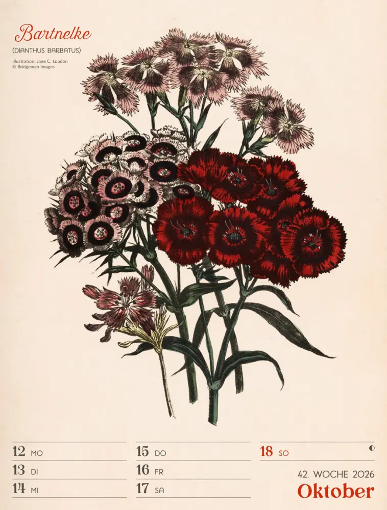 Bild: 9783838436128 | Ars Floralis Wochenplaner Kalender 2026 | Ackermann Kunstverlag GmbH