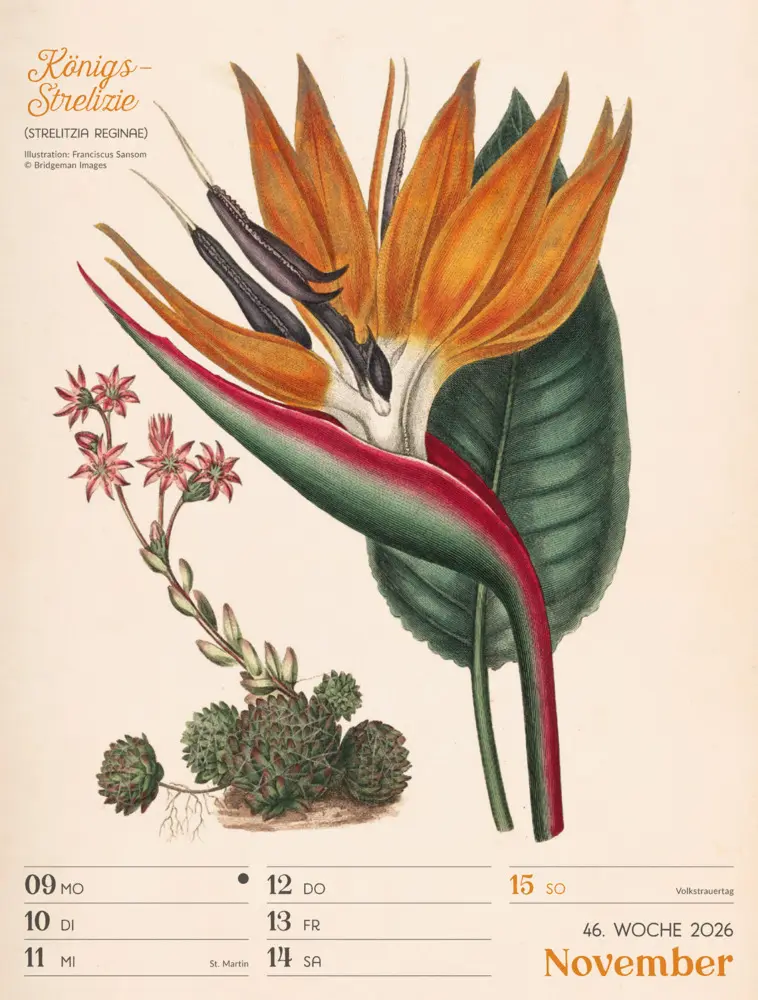 Bild: 9783838436128 | Ars Floralis Wochenplaner Kalender 2026 | Ackermann Kunstverlag GmbH
