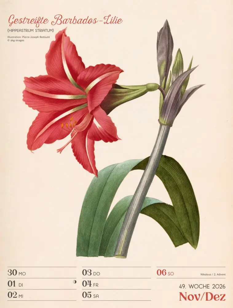 Bild: 9783838436128 | Ars Floralis Wochenplaner Kalender 2026 | Ackermann Kunstverlag GmbH