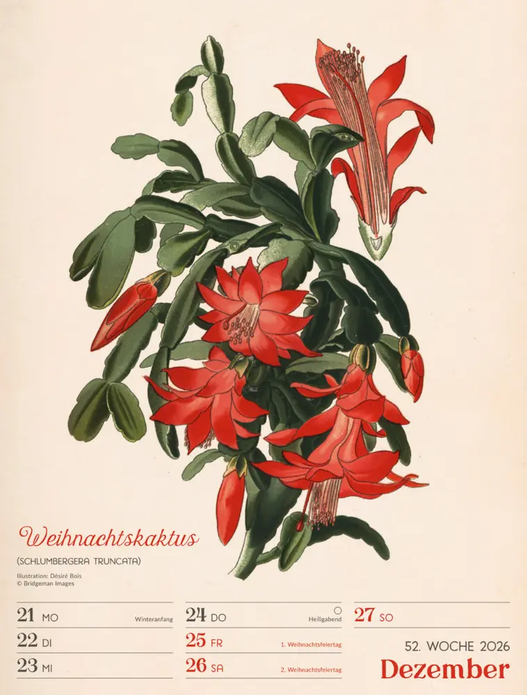 Bild: 9783838436128 | Ars Floralis Wochenplaner Kalender 2026 | Ackermann Kunstverlag GmbH