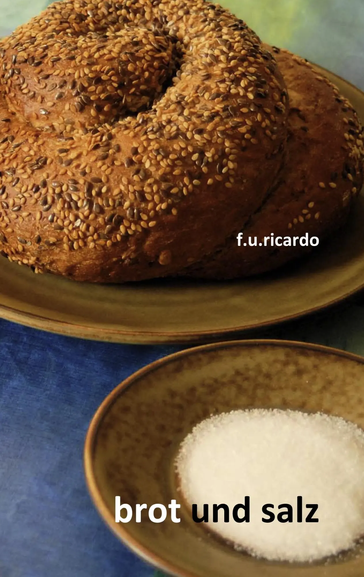 Cover: 9783839116128 | Brot und Salz | F. U. Ricardo | Taschenbuch | 140 S. | Deutsch | 2009