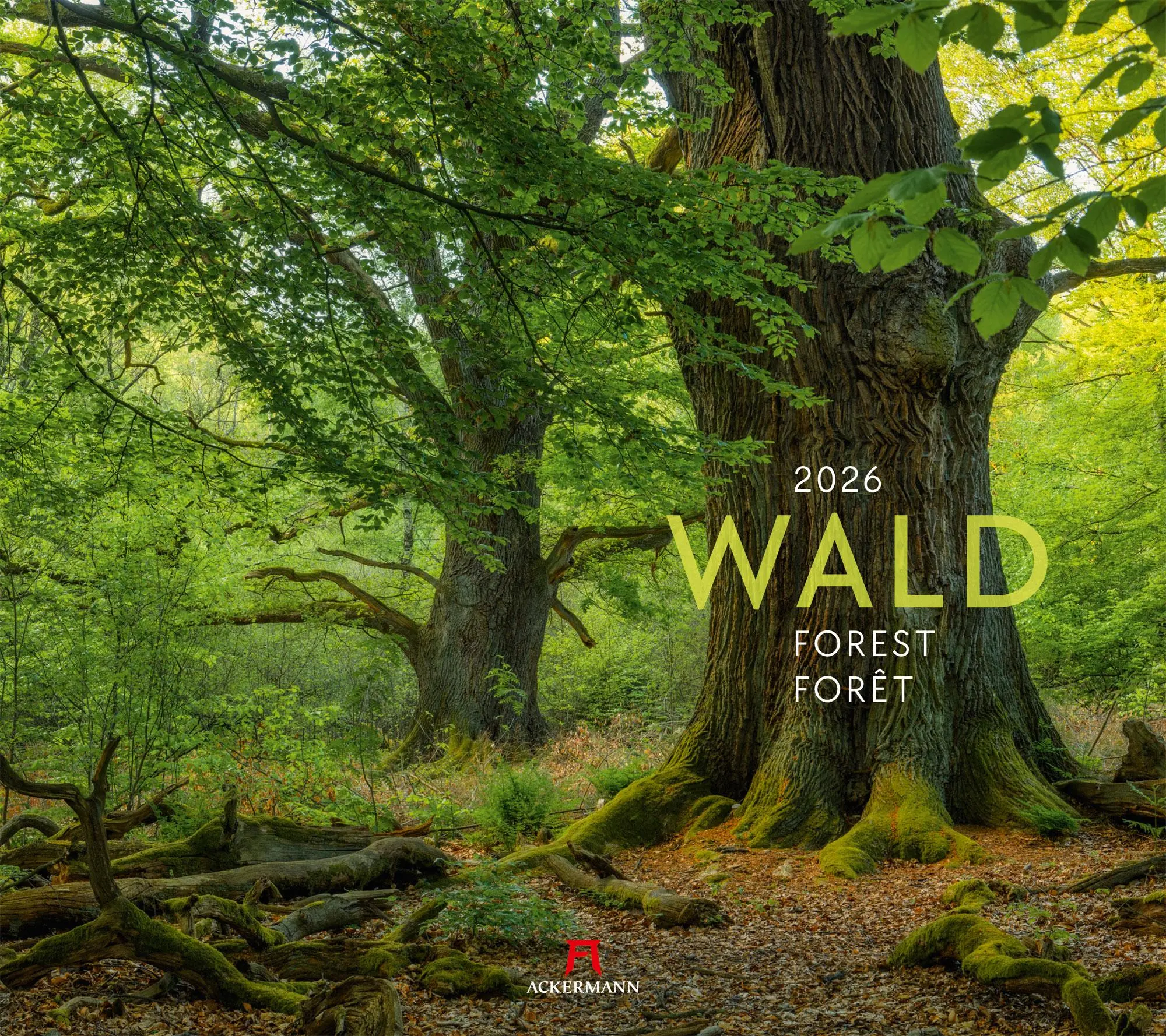 Cover: 9783838426228 | Wald Kalender 2026 | Ackermann Kunstverlag GmbH | Kalender | 14 S.