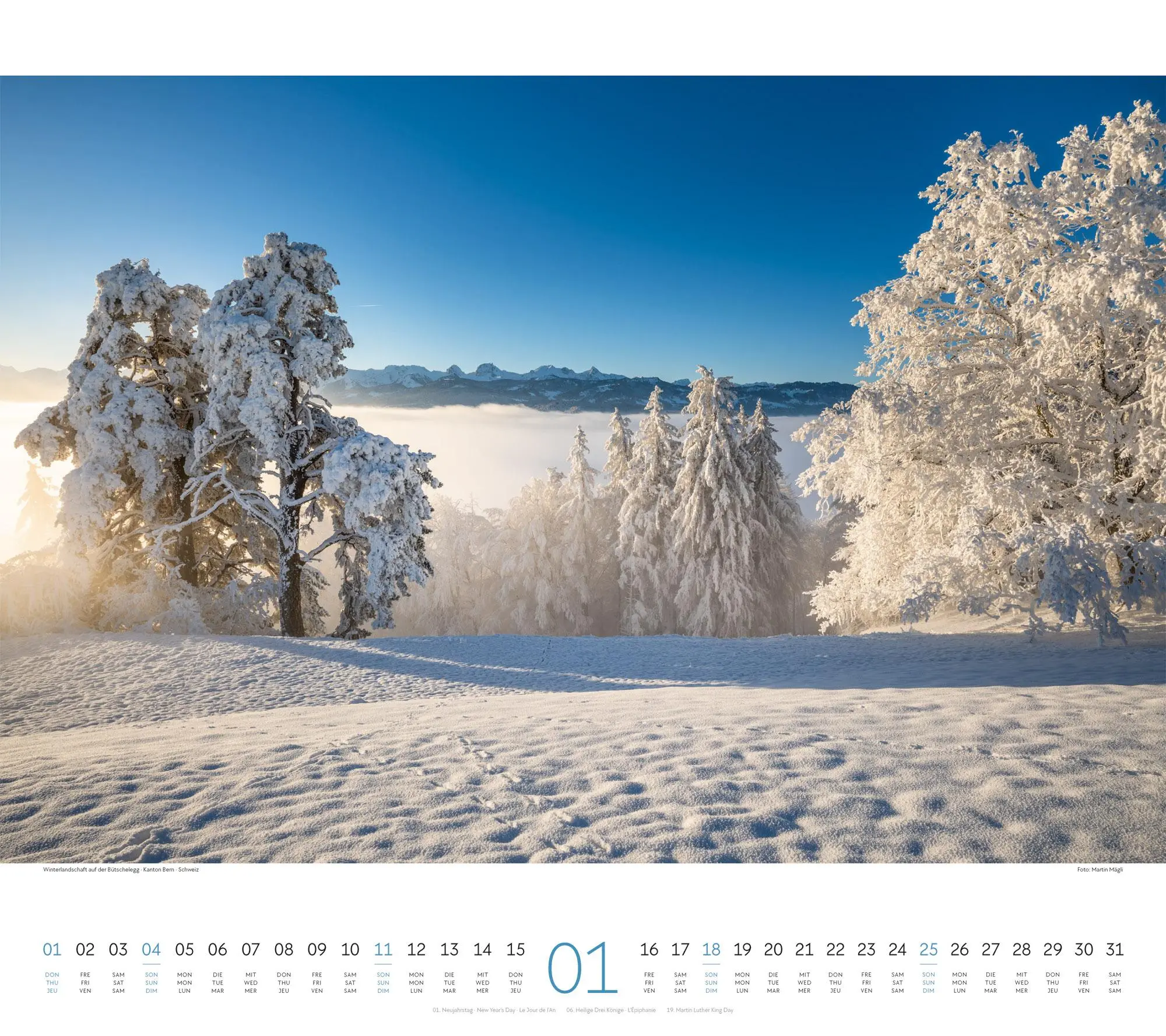 Bild: 9783838426228 | Wald Kalender 2026 | Ackermann Kunstverlag GmbH | Kalender | 14 S.