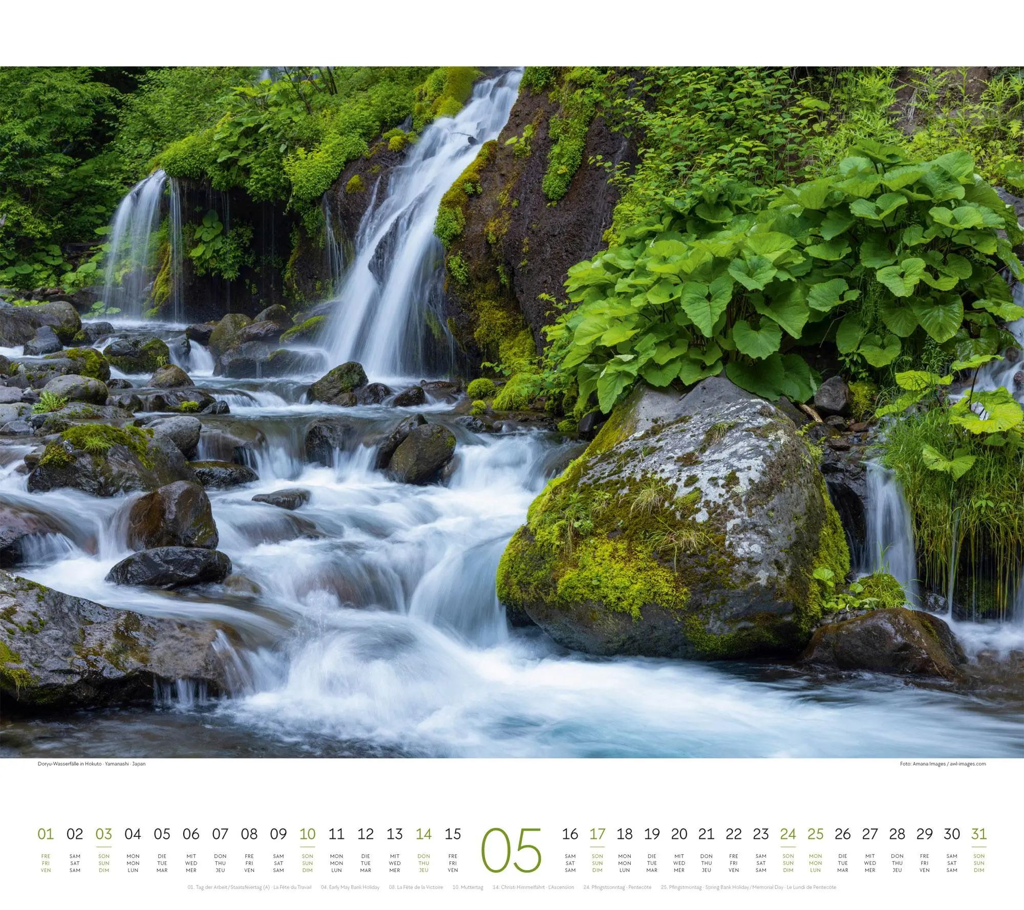 Bild: 9783838426228 | Wald Kalender 2026 | Ackermann Kunstverlag GmbH | Kalender | 14 S.