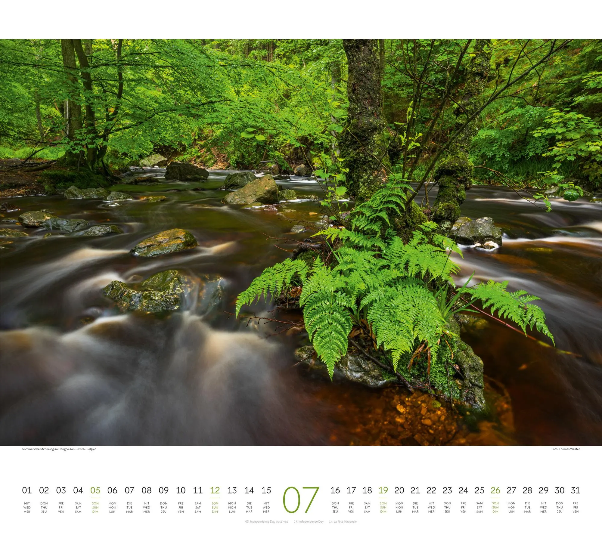 Bild: 9783838426228 | Wald Kalender 2026 | Ackermann Kunstverlag GmbH | Kalender | 14 S.