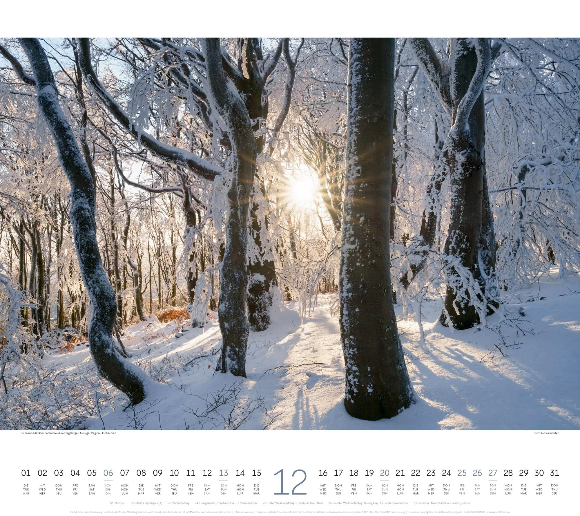 Bild: 9783838426228 | Wald Kalender 2026 | Ackermann Kunstverlag GmbH | Kalender | 14 S.