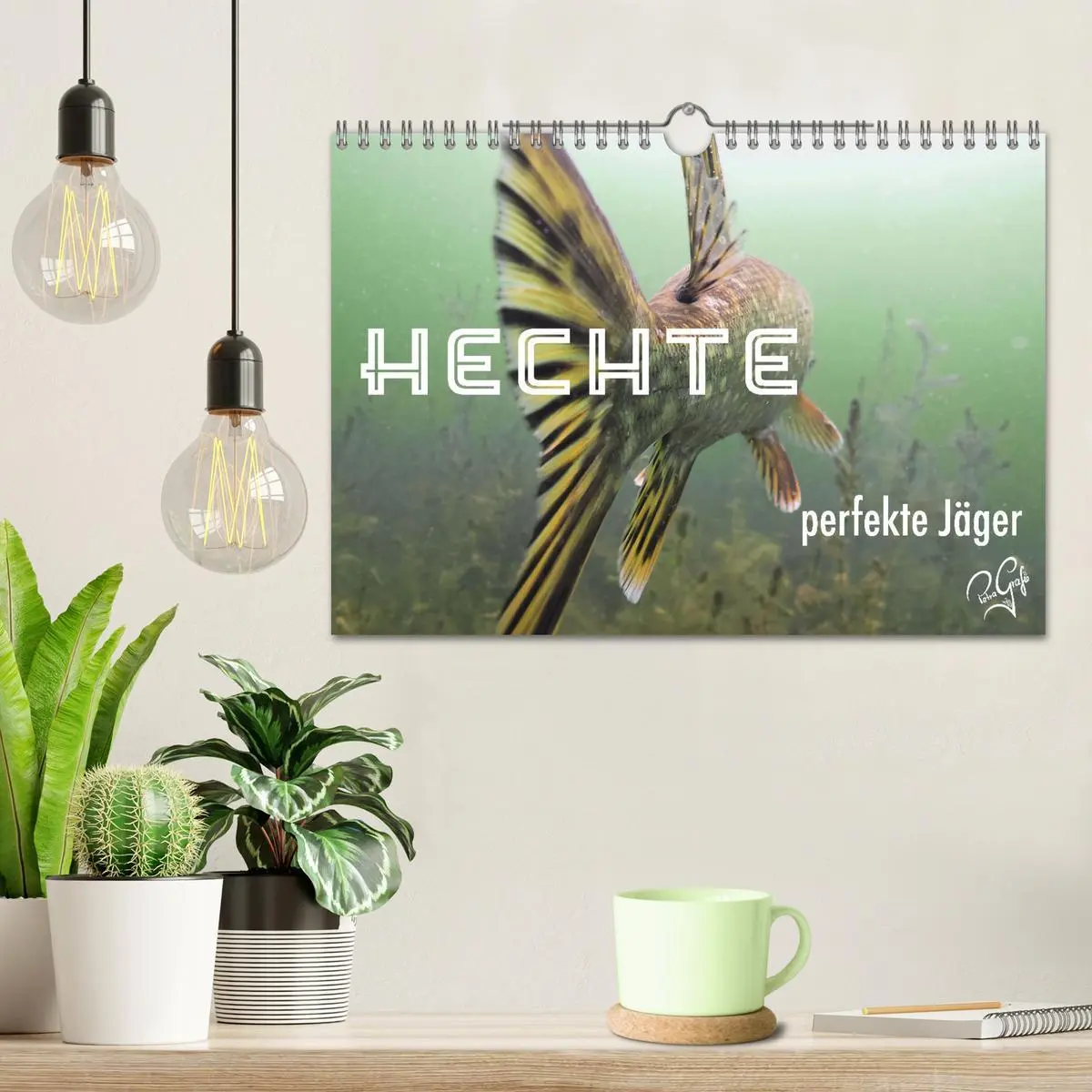 Bild: 9783457646328 | Hechte - perfekte Jäger (Wandkalender 2026 DIN A4 quer), CALVENDO...