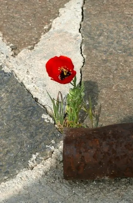 Cover: 9783746726328 | Und vor uns wir.. | Wie sie wurden wer sie sind | Tom Rauberger | Buch