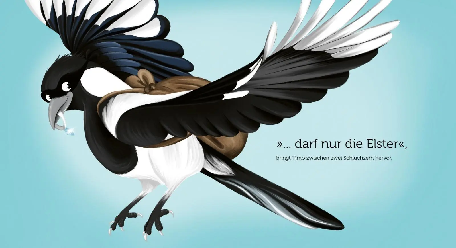 Bild: 9783747406328 | Klauen darf nur die Elster | Carina Heer | Buch | 32 S. | Deutsch