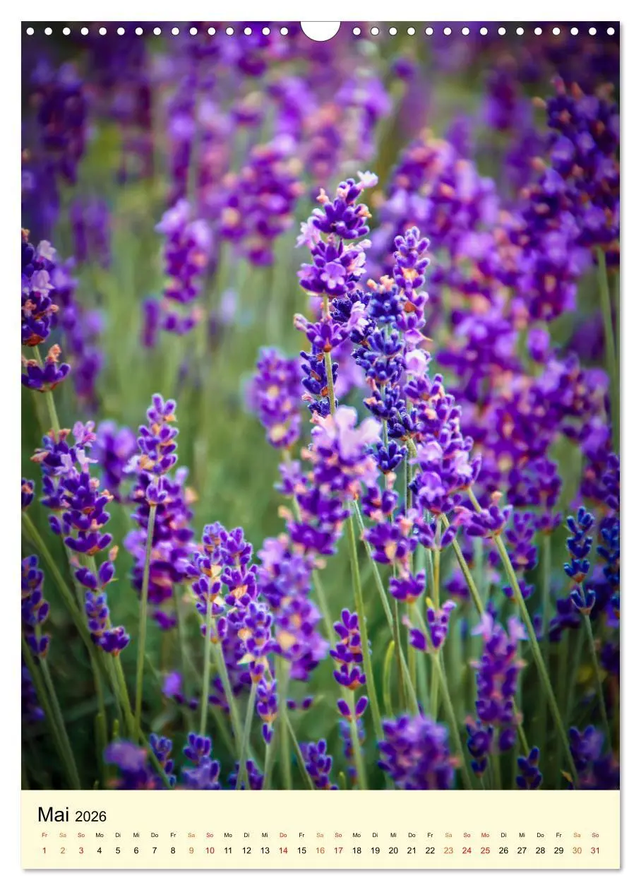Bild: 9783516346428 | Provence Lavendel Paradies (Wandkalender 2026 DIN A3 hoch),...