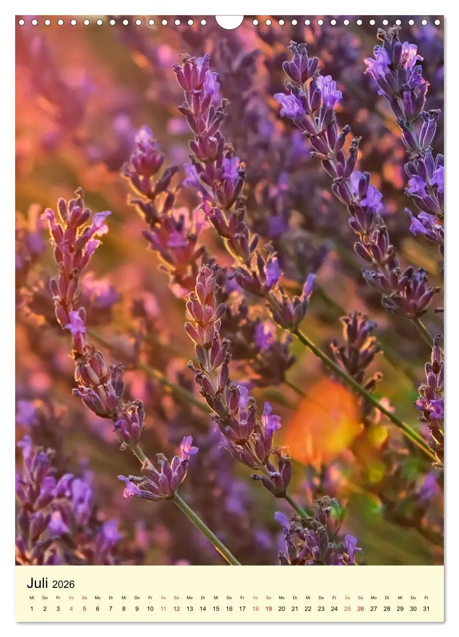 Bild: 9783516346428 | Provence Lavendel Paradies (Wandkalender 2026 DIN A3 hoch),...