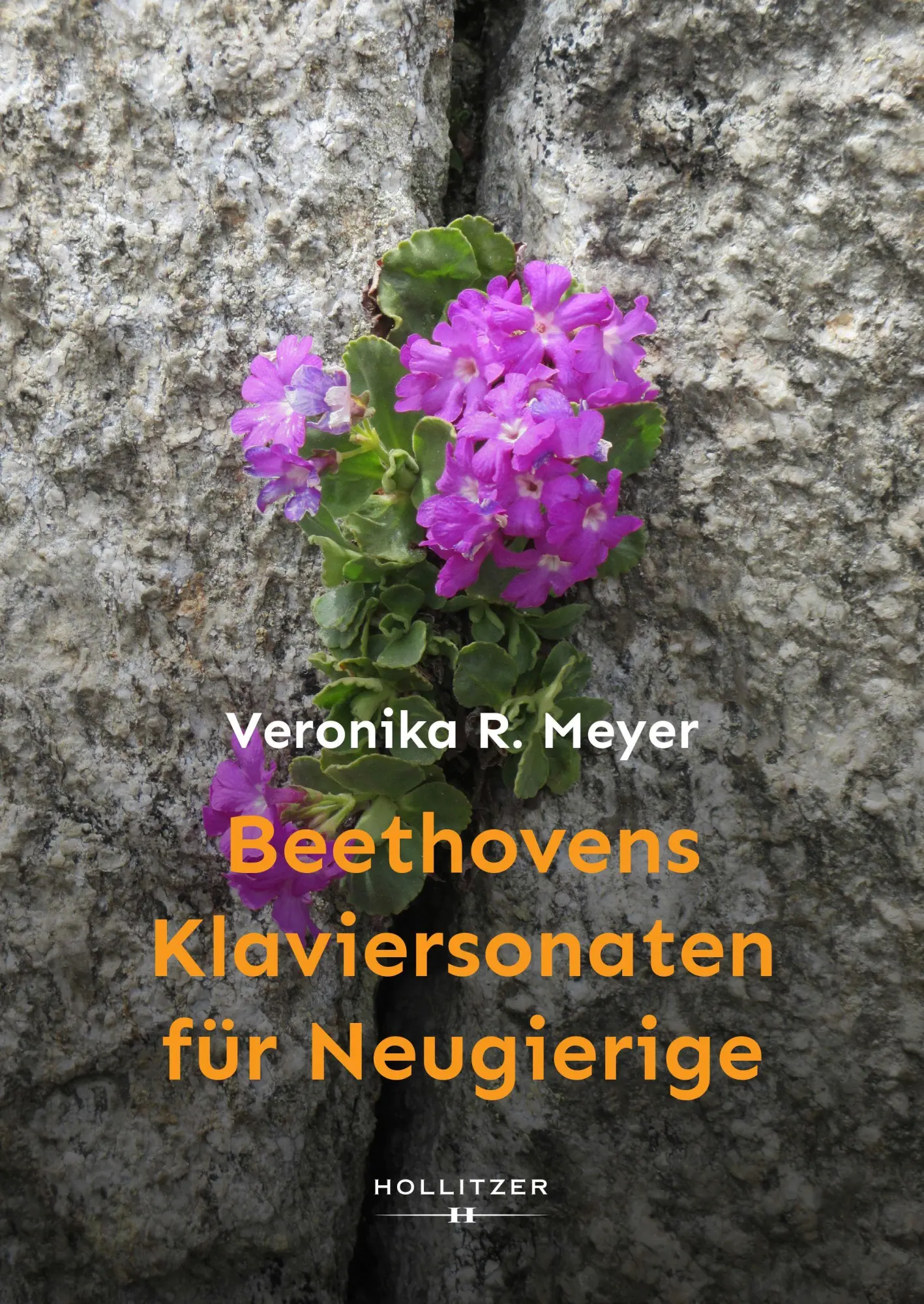 Cover: 9783990946428 | Beethovens Klaviersonaten für Neugierige | Veronika R. Meyer | Buch