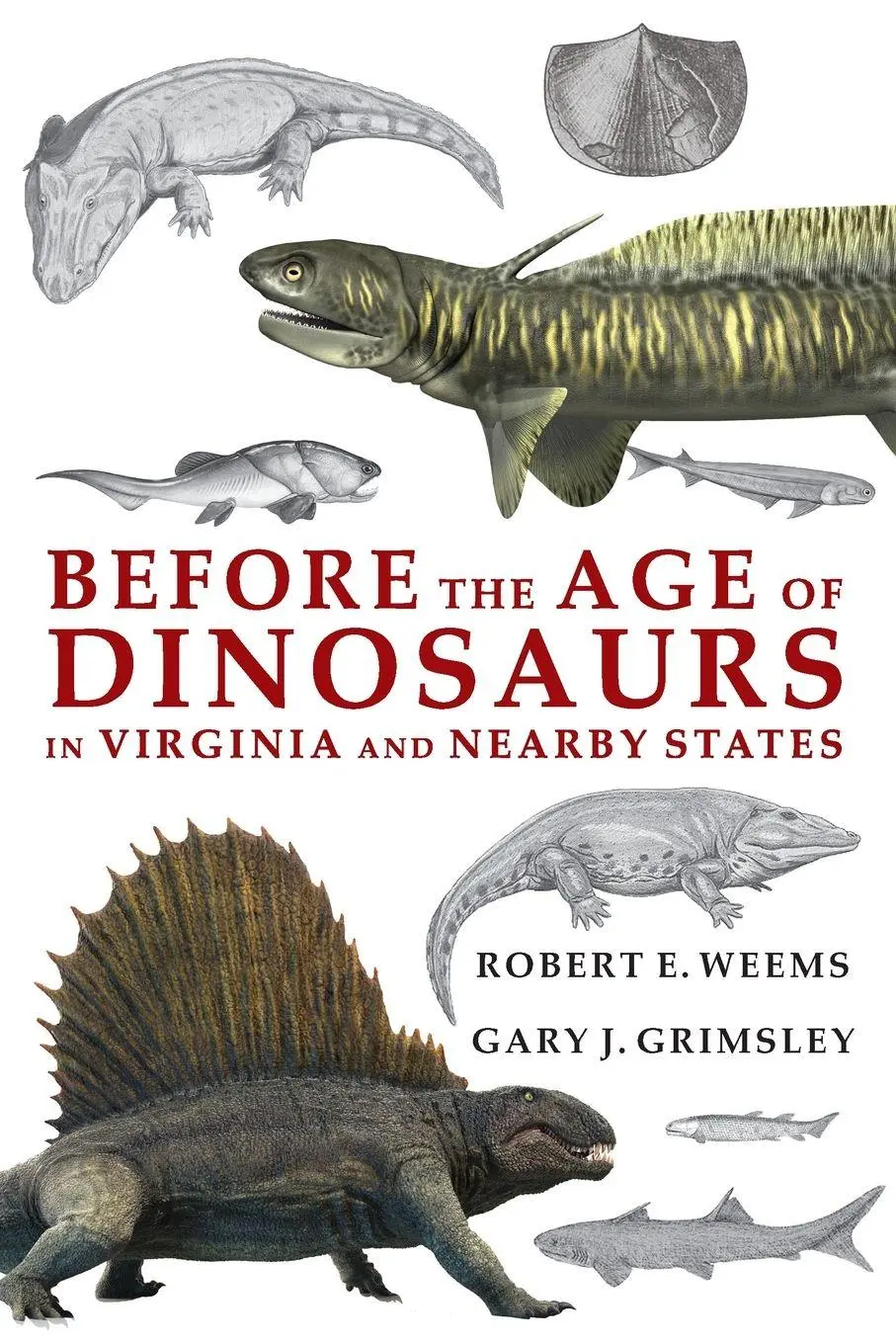 Cover: 9781962416528 | Before the Age of Dinosaurs in Virginia and Nearby States | Buch