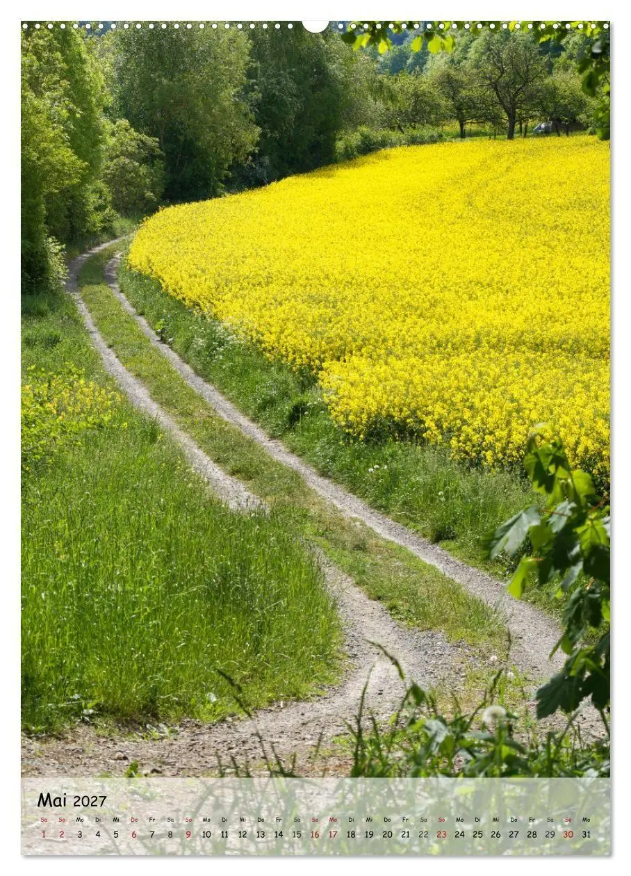 Bild: 9783594246528 | Wege als Traumpfade (hochwertiger Premium Wandkalender 2027 DIN A2...