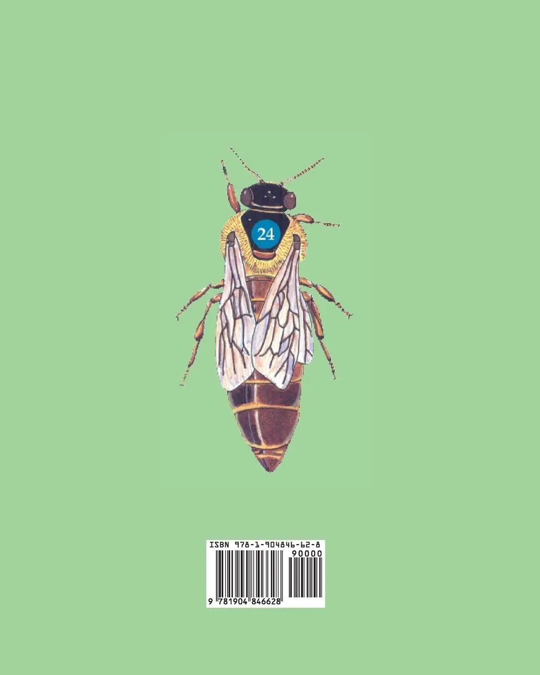 Rückseite: 9781904846628 | Queen Breeding and Genetics - How to get better bees | Eigil Holm