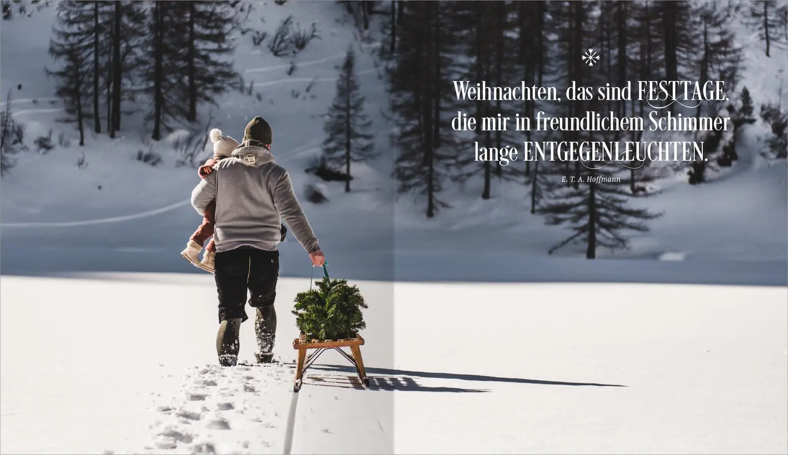 Bild: 9783845866628 | Vanille, Zimt und Weihnachtsduft | Alexander Höss-Knakal | Buch | 2025