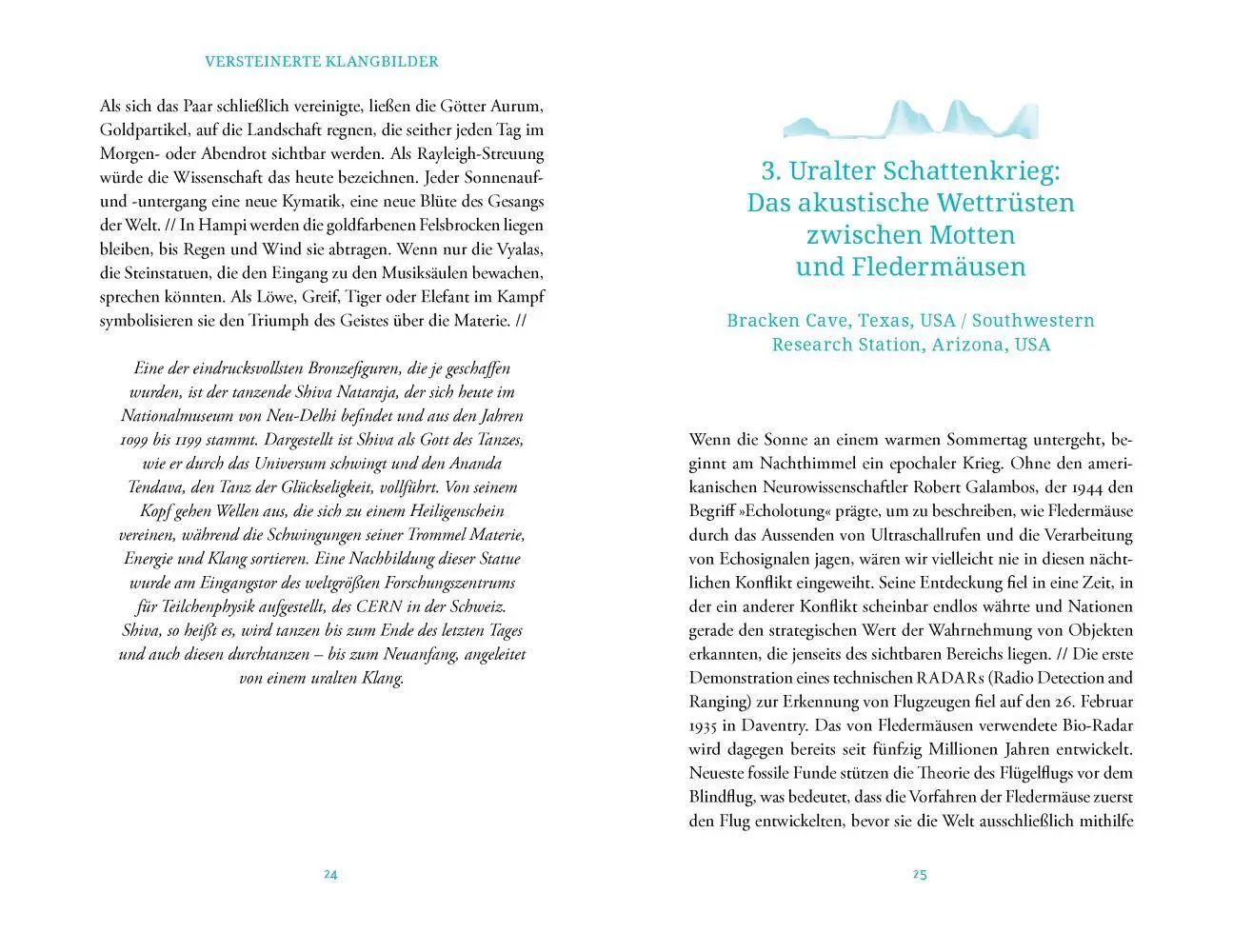 Bild: 9783957286628 | Atlas der ungewöhnlichen Klänge | Michaela Vieser (u. a.) | Buch