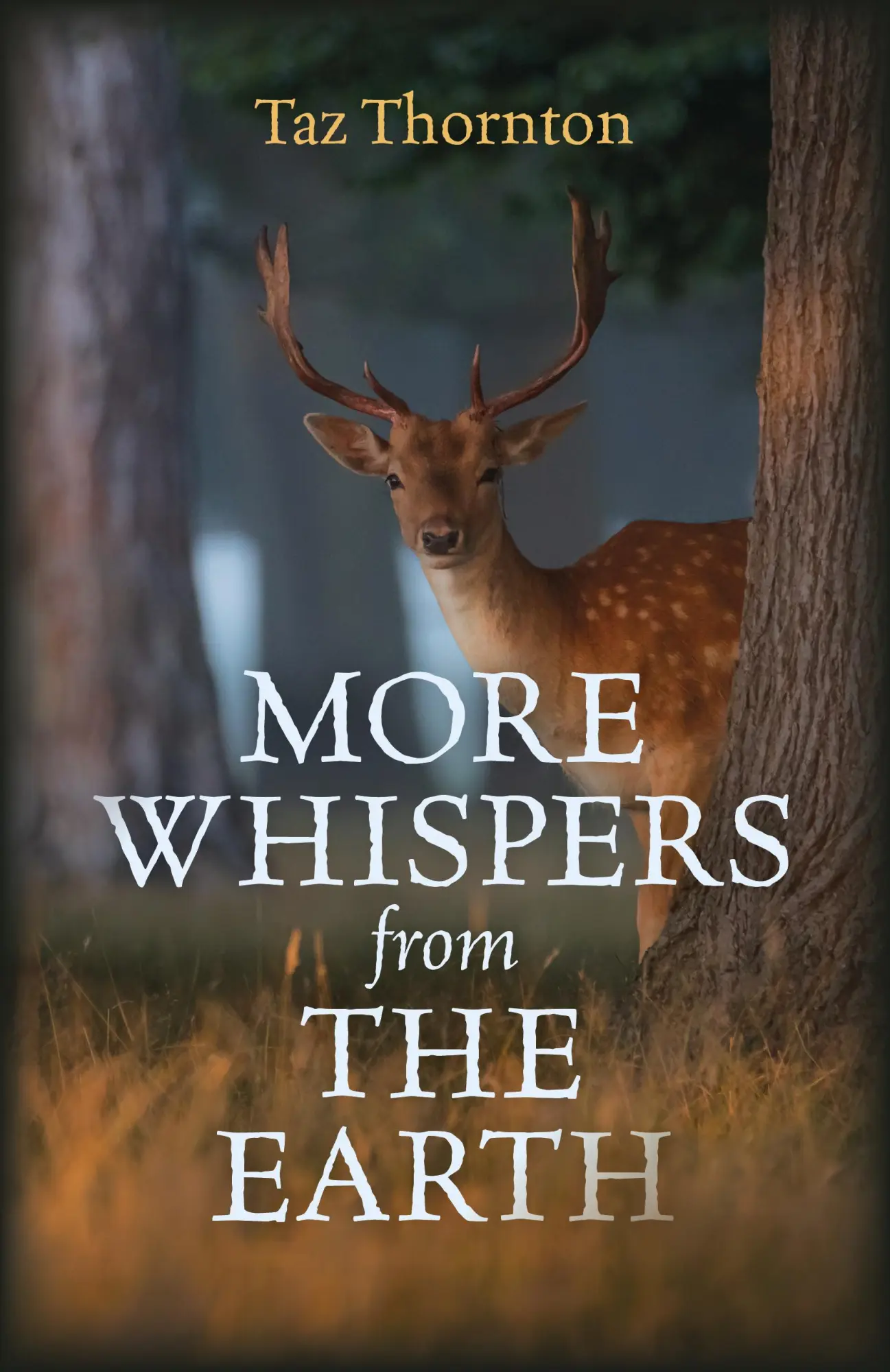 Cover: 9781785356728 | More Whispers from the Earth | Taz Thornton | Taschenbuch | Englisch