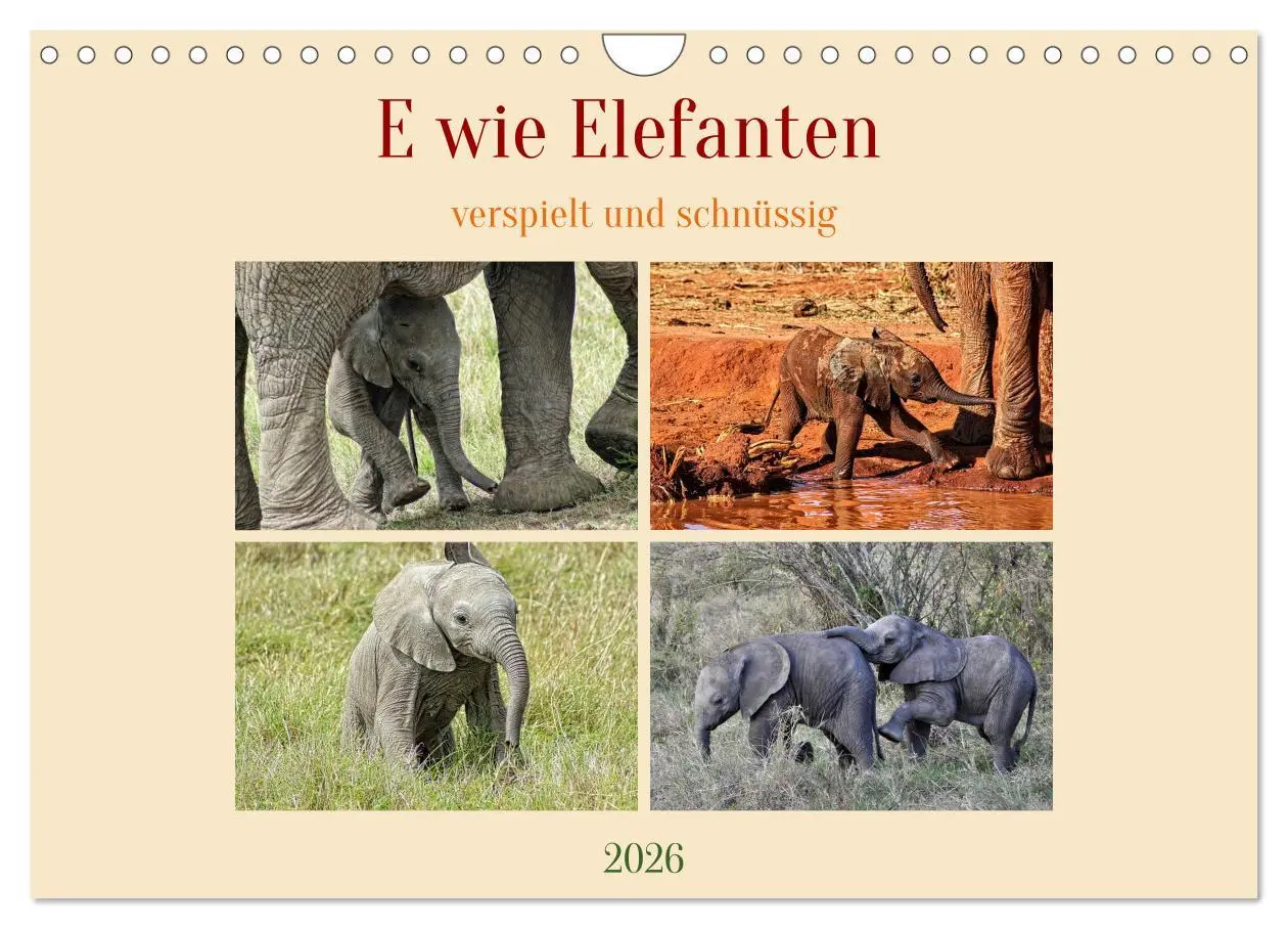 Cover: 9783457536728 | E wie Elefanten - verspielt und schnüssig (Wandkalender 2026 DIN A4...