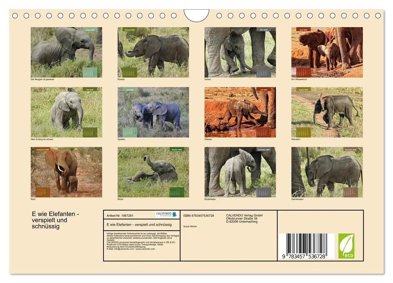 Bild: 9783457536728 | E wie Elefanten - verspielt und schnüssig (Wandkalender 2026 DIN A4...