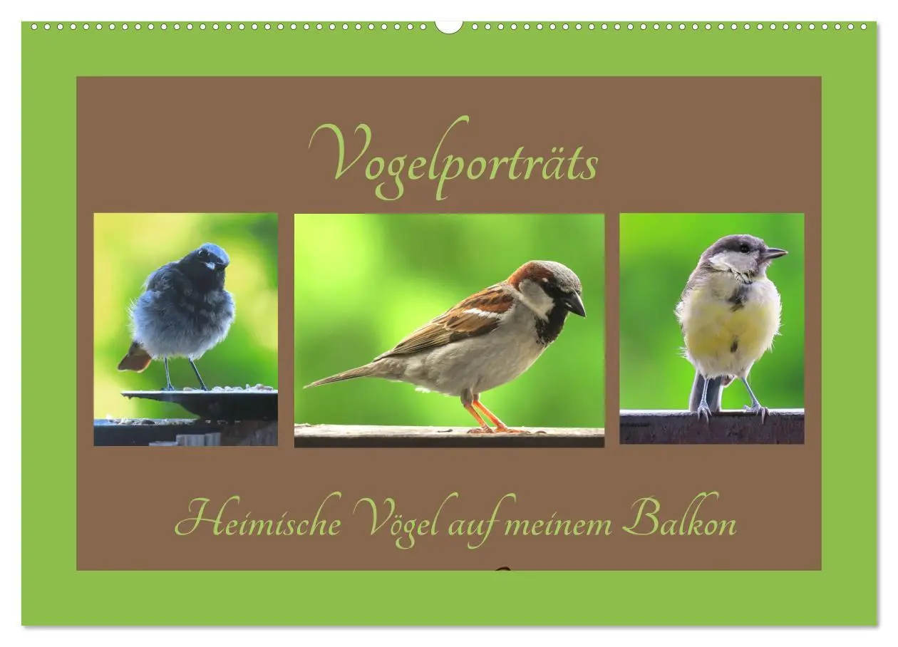 Cover: 9783457776728 | Vogelporträts - Heimische Vögel auf meinem Balkon (Wandkalender...