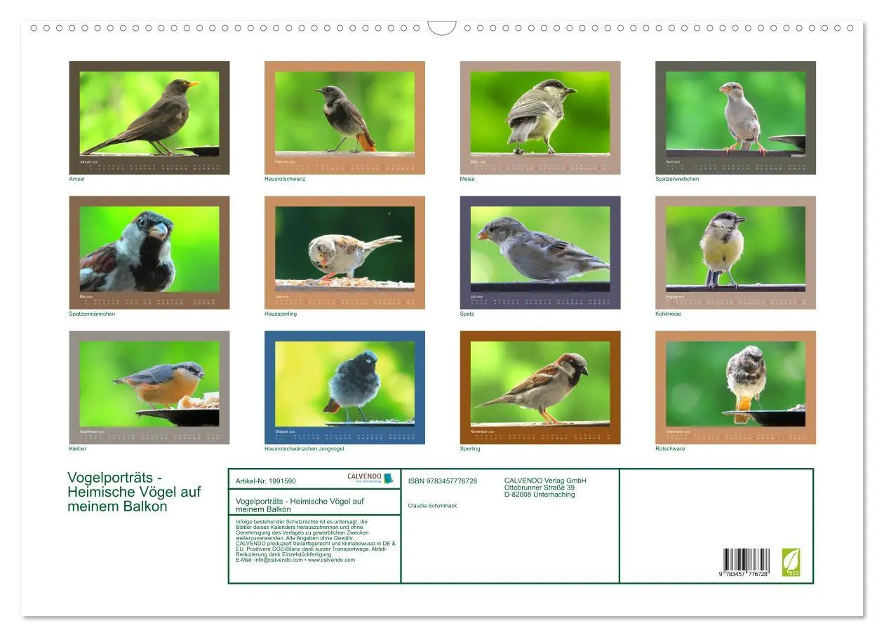 Bild: 9783457776728 | Vogelporträts - Heimische Vögel auf meinem Balkon (Wandkalender...