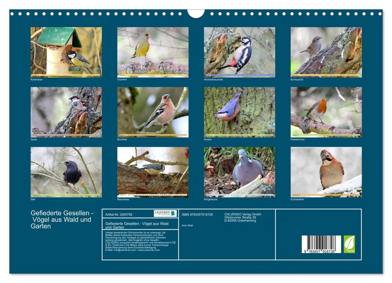 Bild: 9783457916728 | Gefiederte Gesellen - Vögel aus Wald und Garten (Wandkalender 2026...