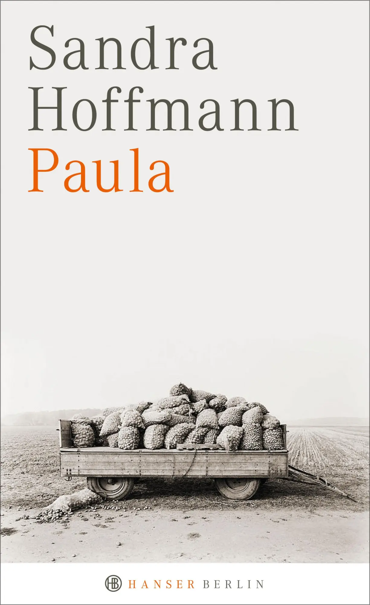Cover: 9783446256828 | Paula | Sandra Hoffmann | Buch | 160 S. | Deutsch | 2017