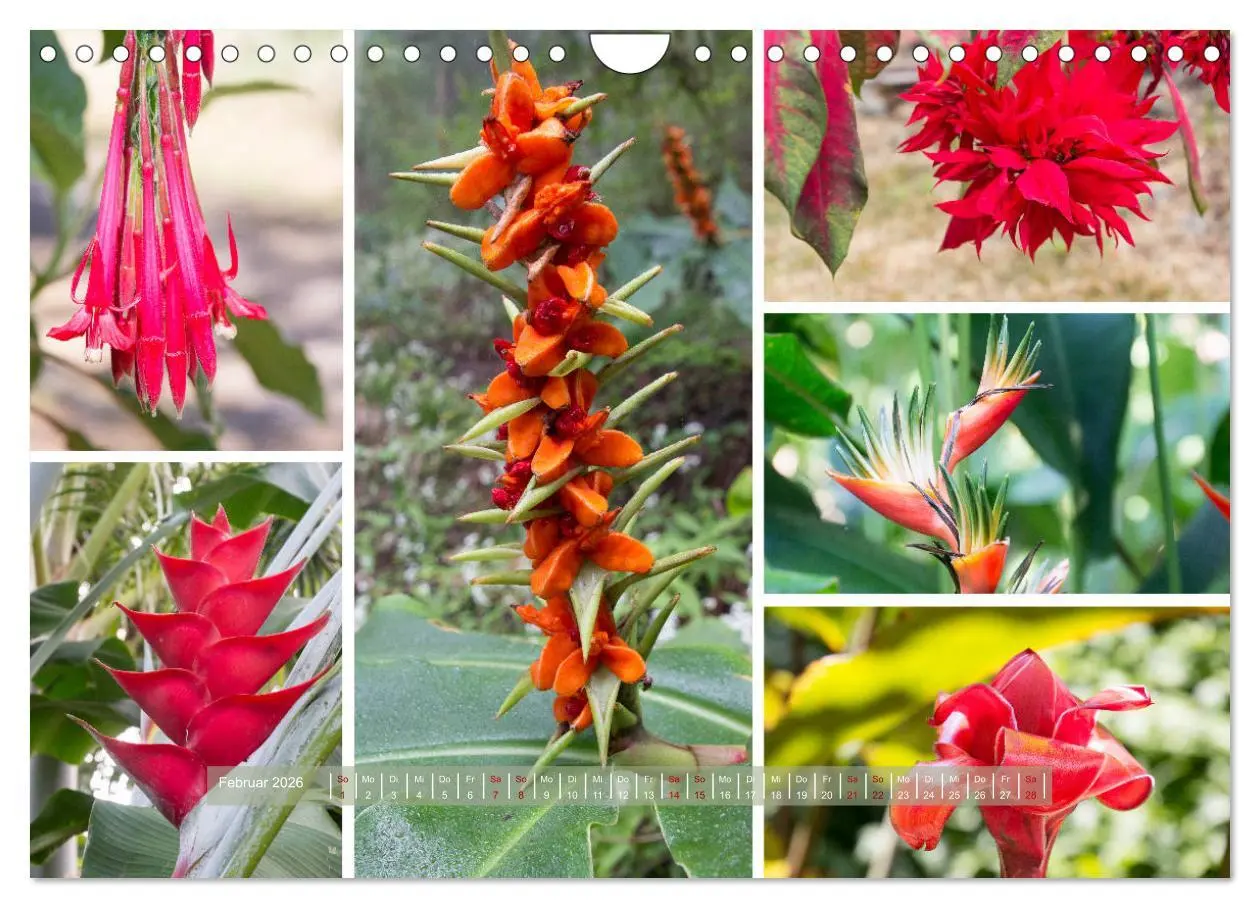 Bild: 9783457906828 | La Réunion - Bergweh ® (Wandkalender 2026 DIN A4 quer), CALVENDO...