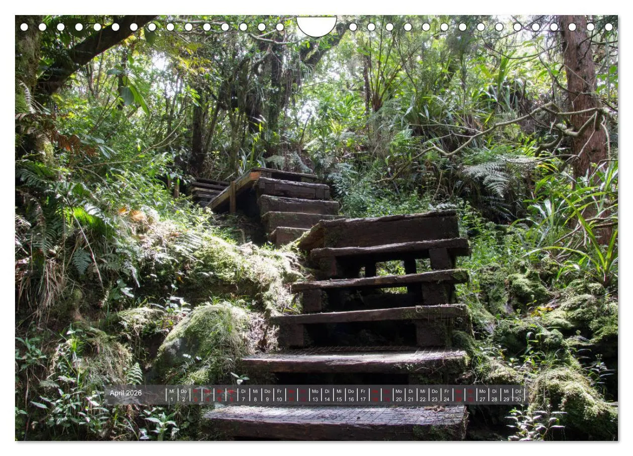 Bild: 9783457906828 | La Réunion - Bergweh ® (Wandkalender 2026 DIN A4 quer), CALVENDO...