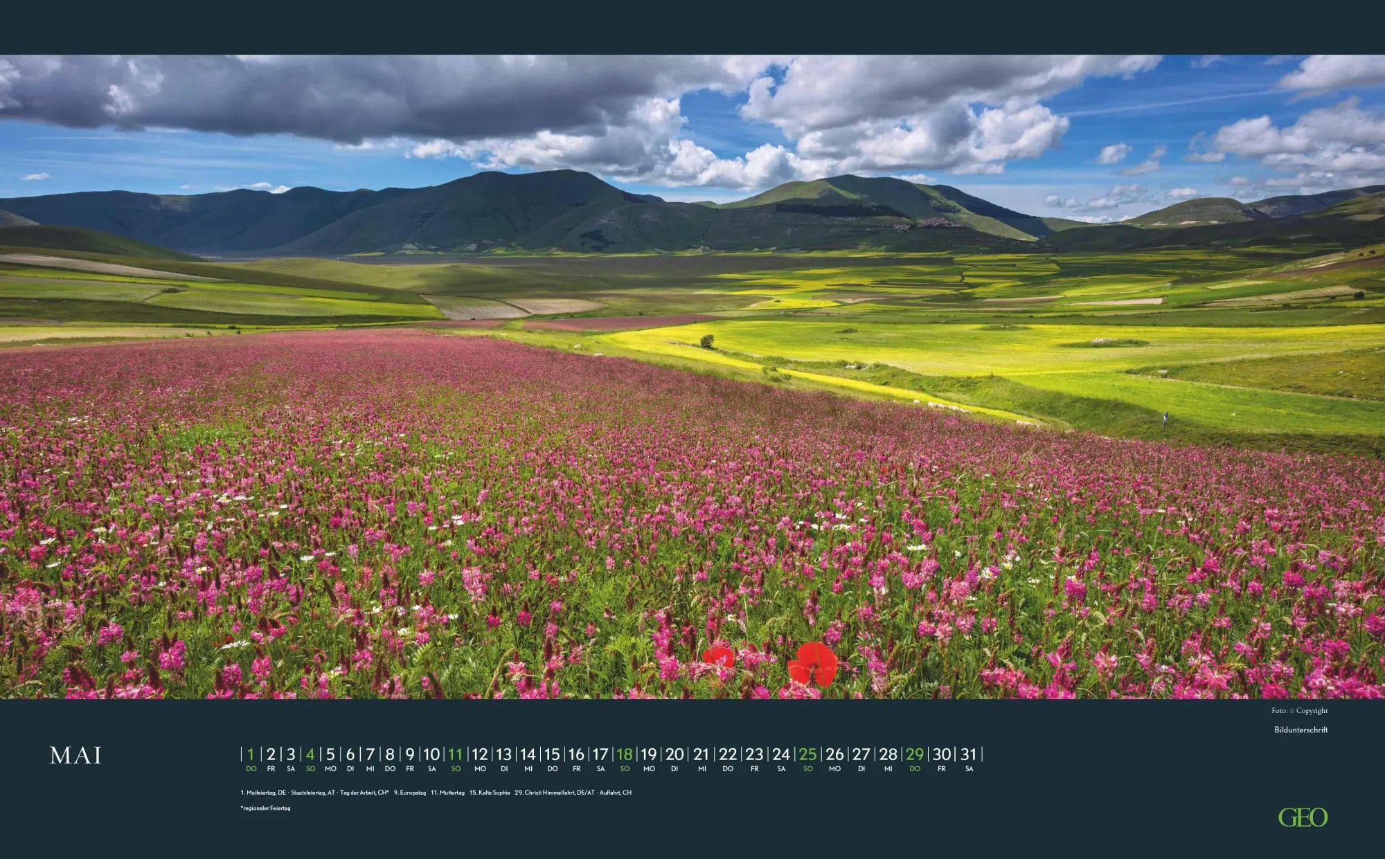 Bild: 4069095006928 | GEO Augenblicke in der Natur 2026 - Wand-Kalender - Reise-Kalender...