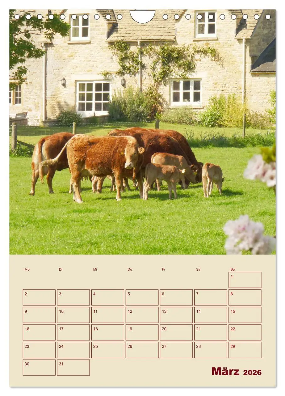 Bild: 9783516396928 | Die Cotswolds Englands grünes Herz (Wandkalender 2026 DIN A4 hoch),...