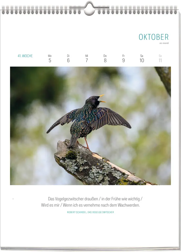 Bild: 9783747206928 | Literarischer Vogelkalender 2026 | Wochenkalender | ars vivendi Verlag