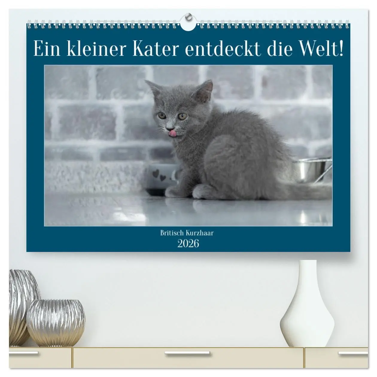 Cover: 9783457497128 | Ein kleiner Kater entdeckt die Welt! (hochwertiger Premium...