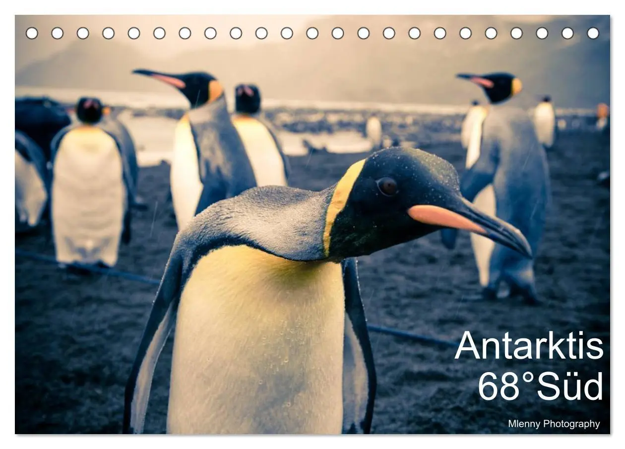 Cover: 9783457947128 | Antarktis 68° Süd (Tischkalender 2026 DIN A5 quer), CALVENDO...