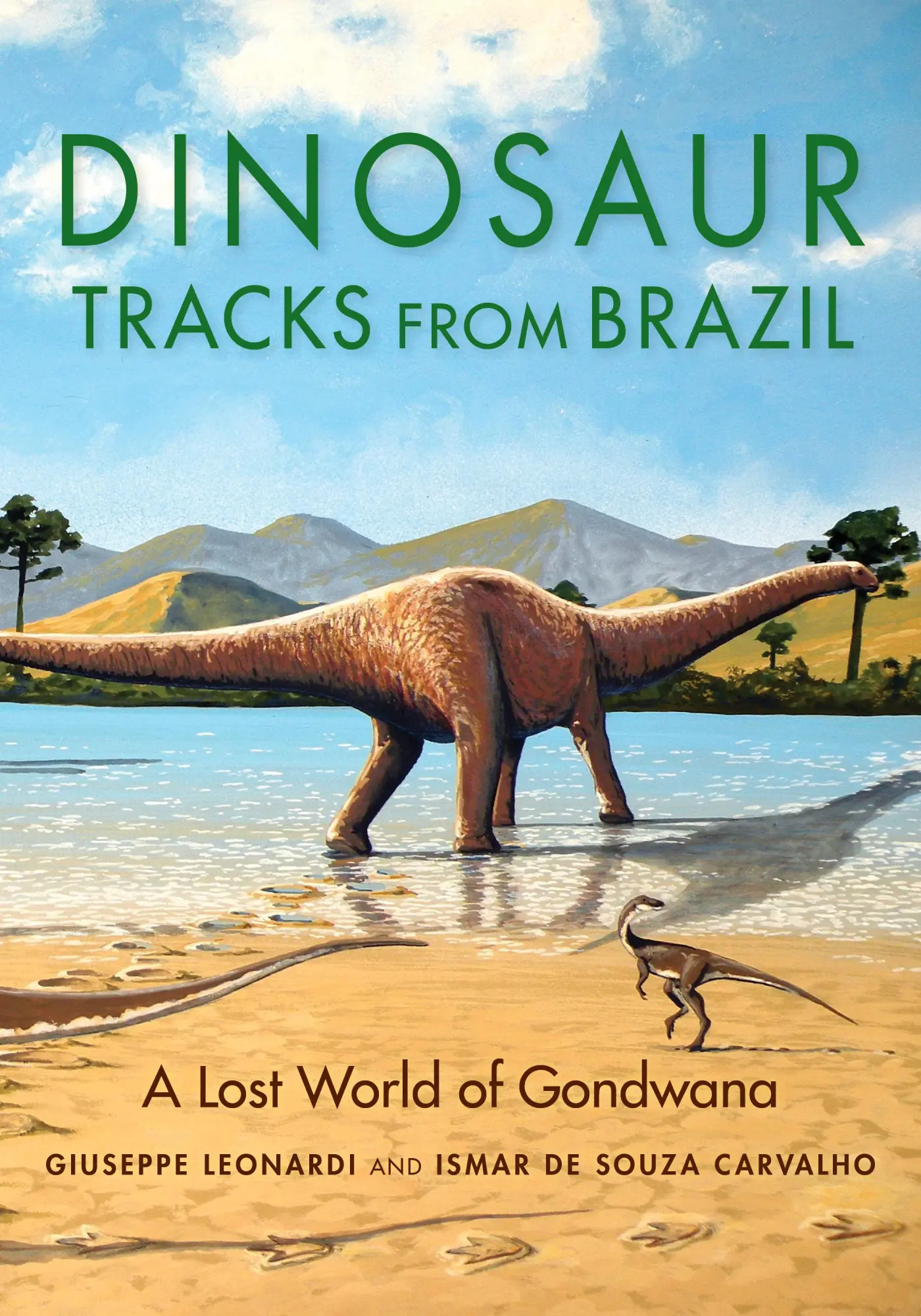 Cover: 9780253057228 | Dinosaur Tracks from Brazil | A Lost World of Gondwana | Buch | 2021