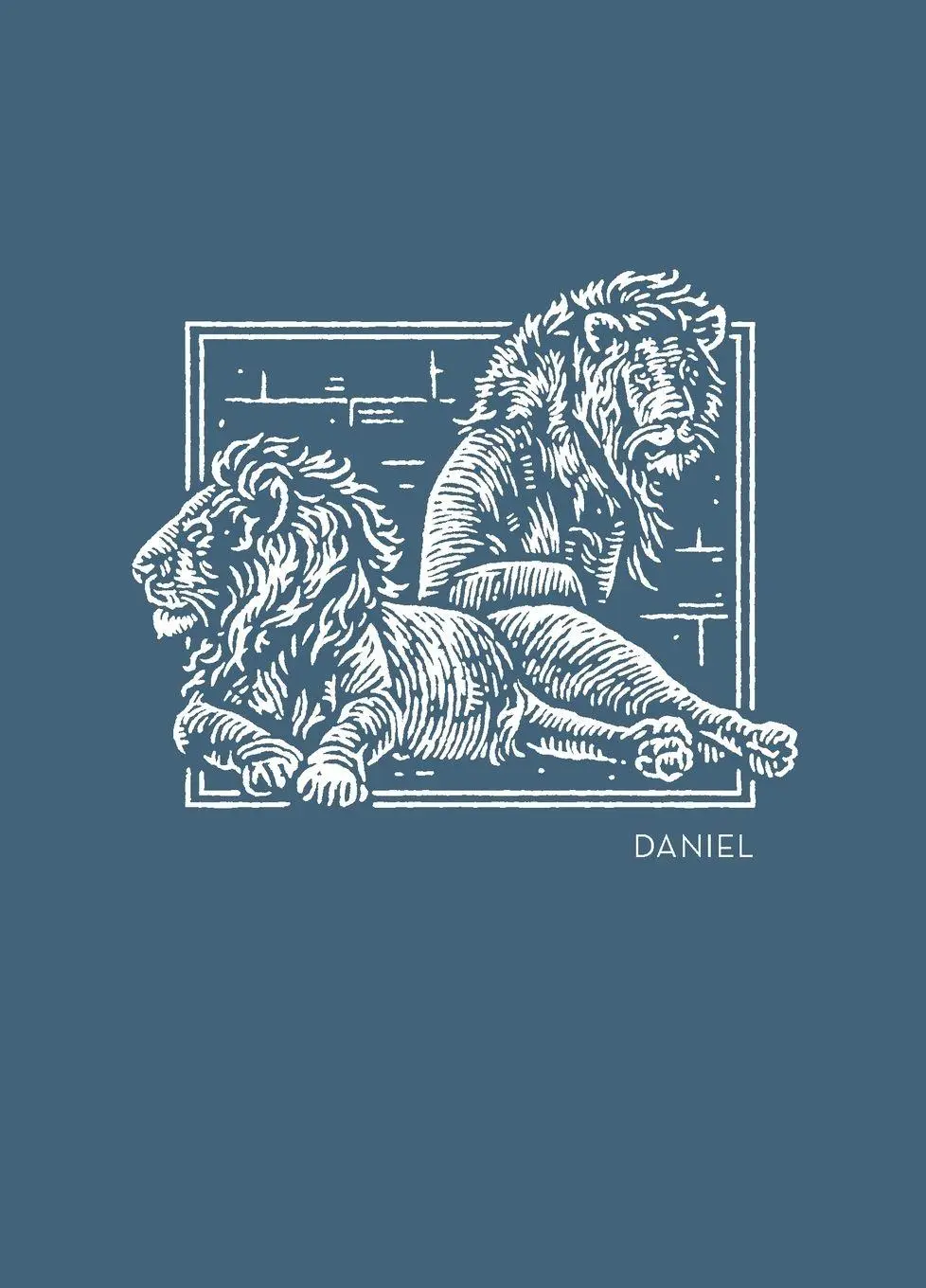 Cover: 9780785237228 | NET Abide Bible Journal - Daniel, Paperback, Comfort Print Softcover