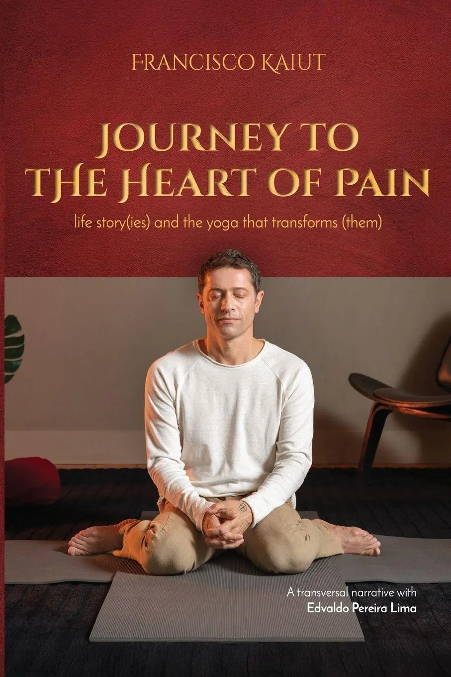 Cover: 9786501327228 | Journey to the Heart of Pain | Francisco Kaiut (u. a.) | Taschenbuch