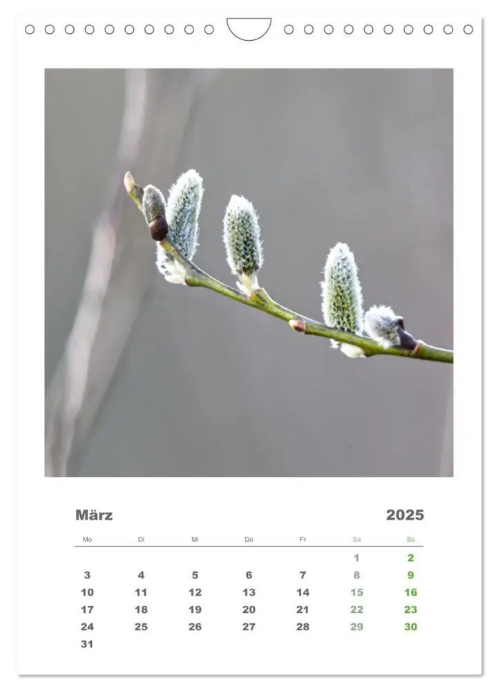 Bild: 9783435907328 | Minimalistisch, Gräser, Blüten, Blätter und Zweige im Fokus...