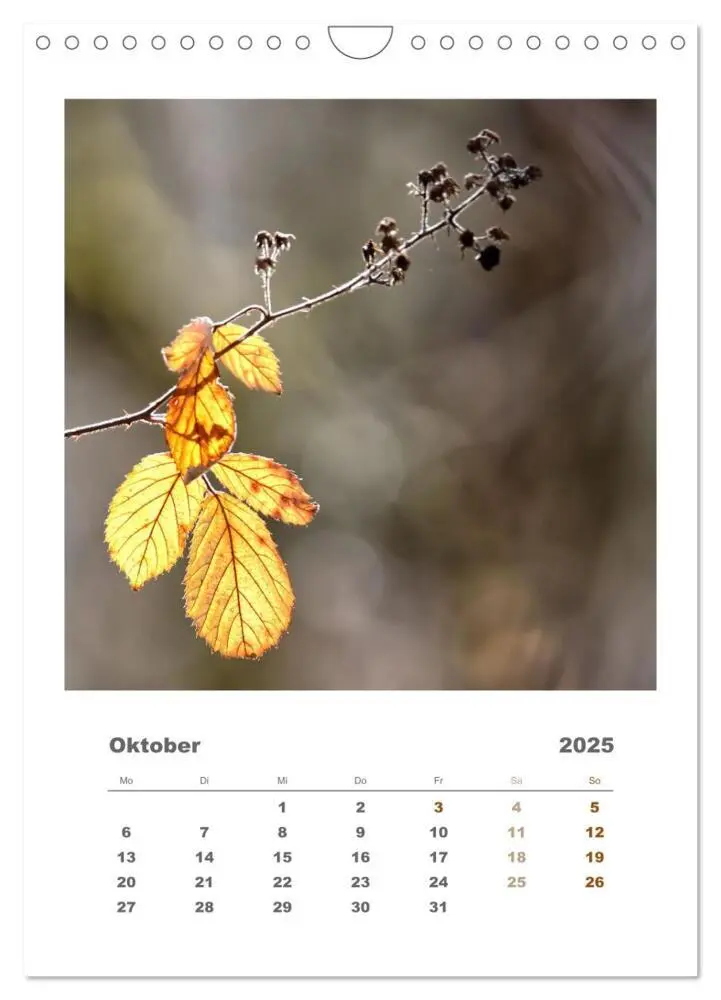 Bild: 9783435907328 | Minimalistisch, Gräser, Blüten, Blätter und Zweige im Fokus...