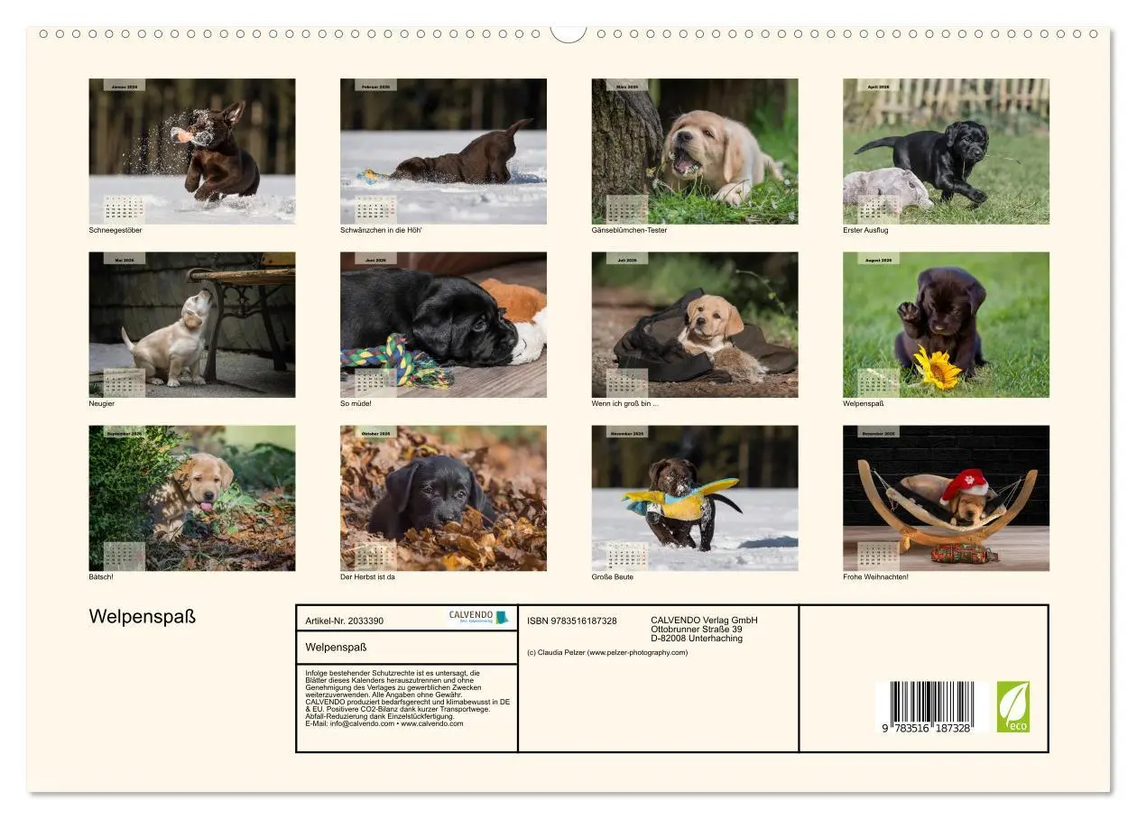 Bild: 9783516187328 | Welpenspaß (hochwertiger Premium Wandkalender 2026 DIN A2 quer),...