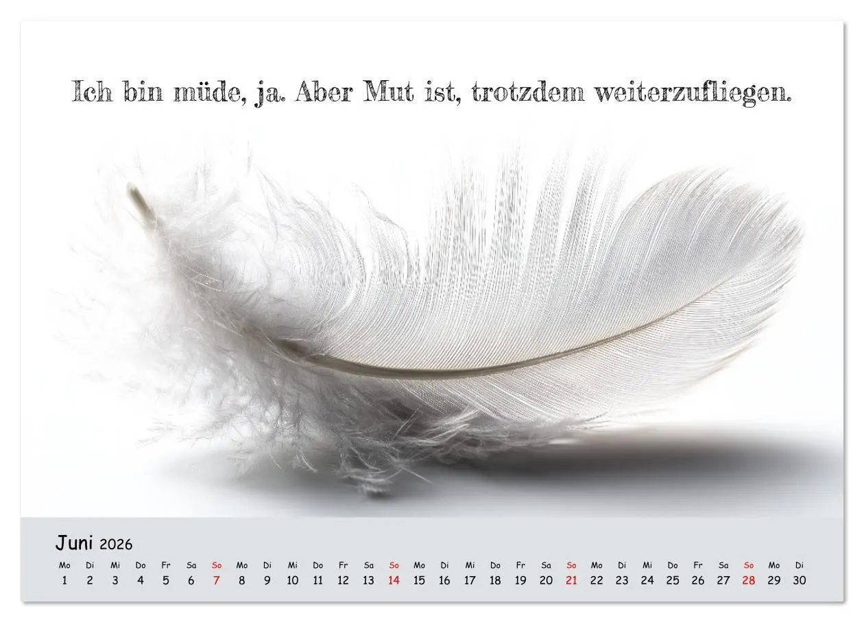 Bild: 9783516637328 | Krebs ist ein Vollidiot - Kalender für alle Kämpfer mit...