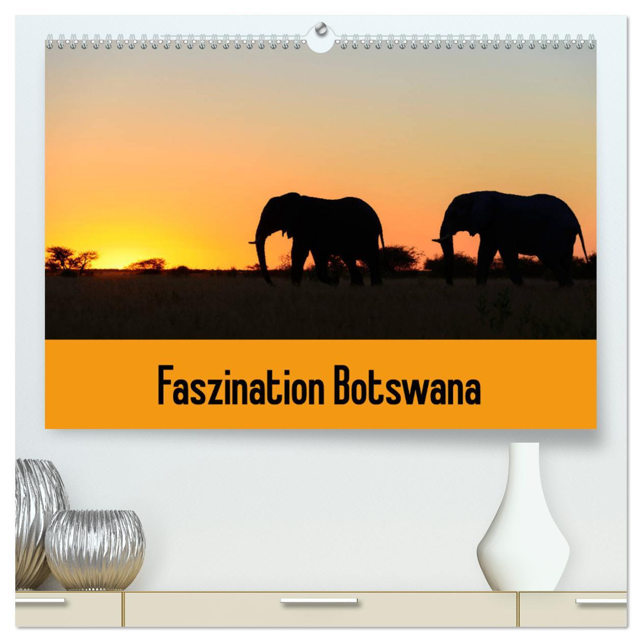Cover: 9783435447428 | Faszination Botswana (hochwertiger Premium Wandkalender 2025 DIN A2...