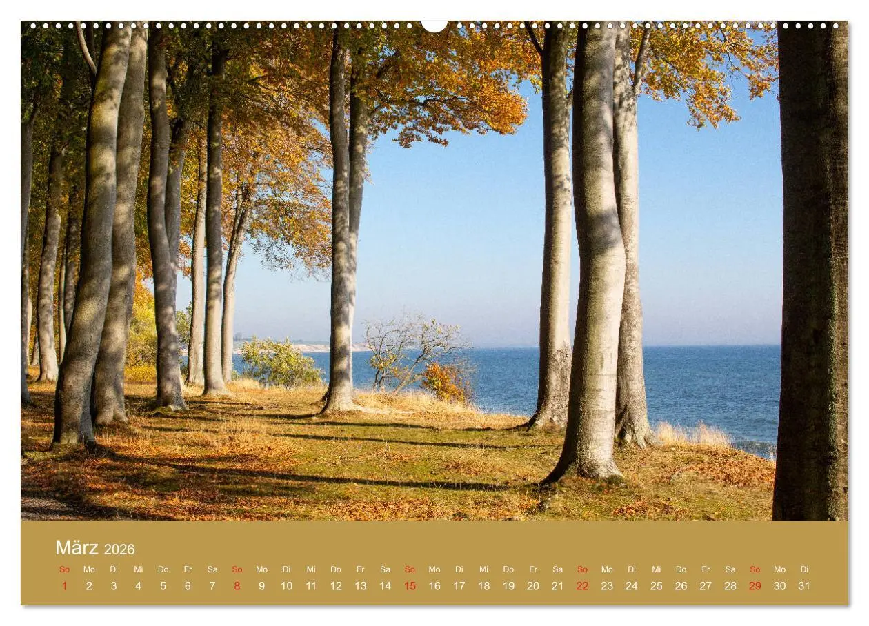 Bild: 9783457777428 | Mön, Impressionen einer dänischen Insel (Wandkalender 2026 DIN A2...