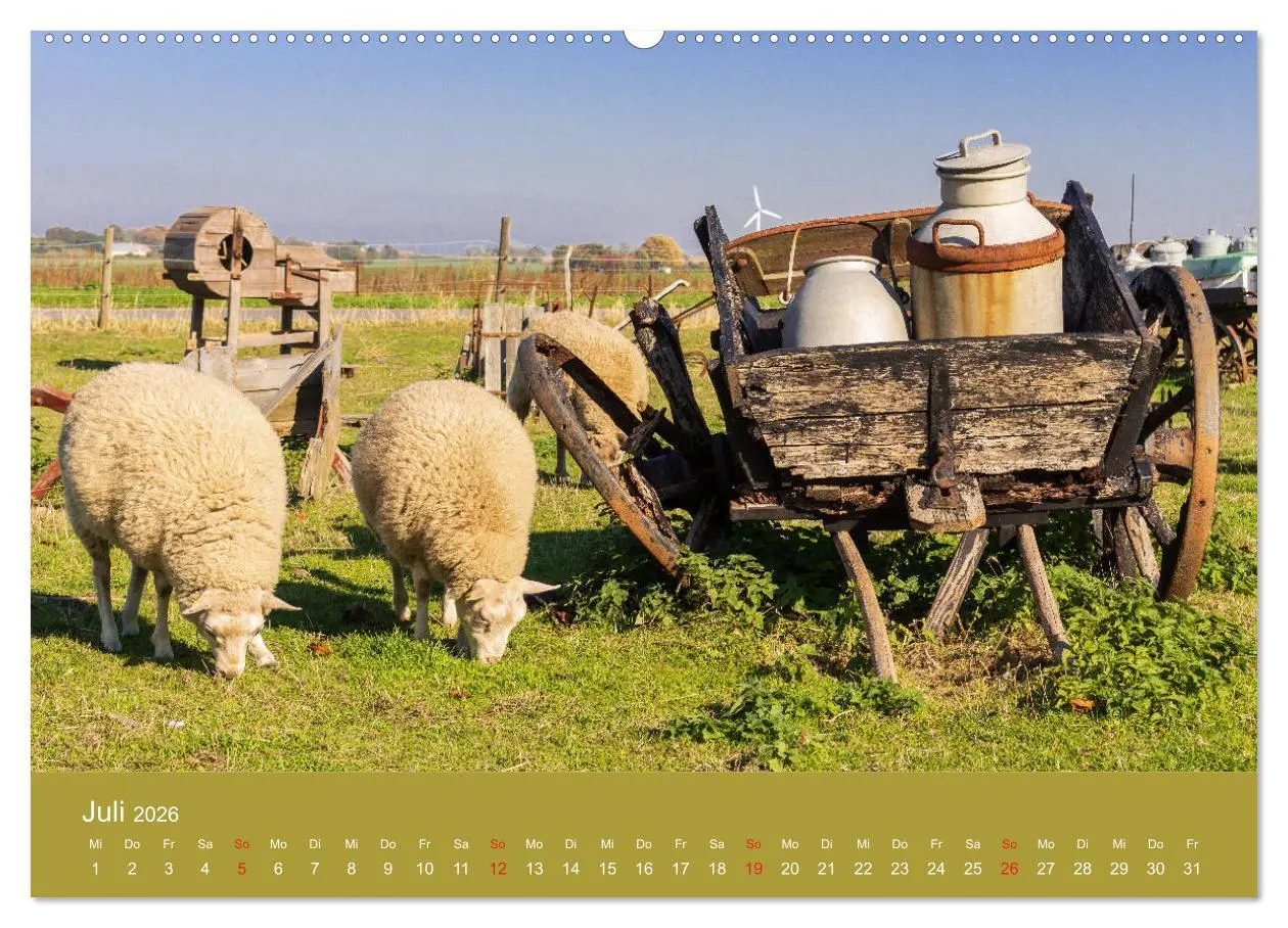 Bild: 9783457777428 | Mön, Impressionen einer dänischen Insel (Wandkalender 2026 DIN A2...