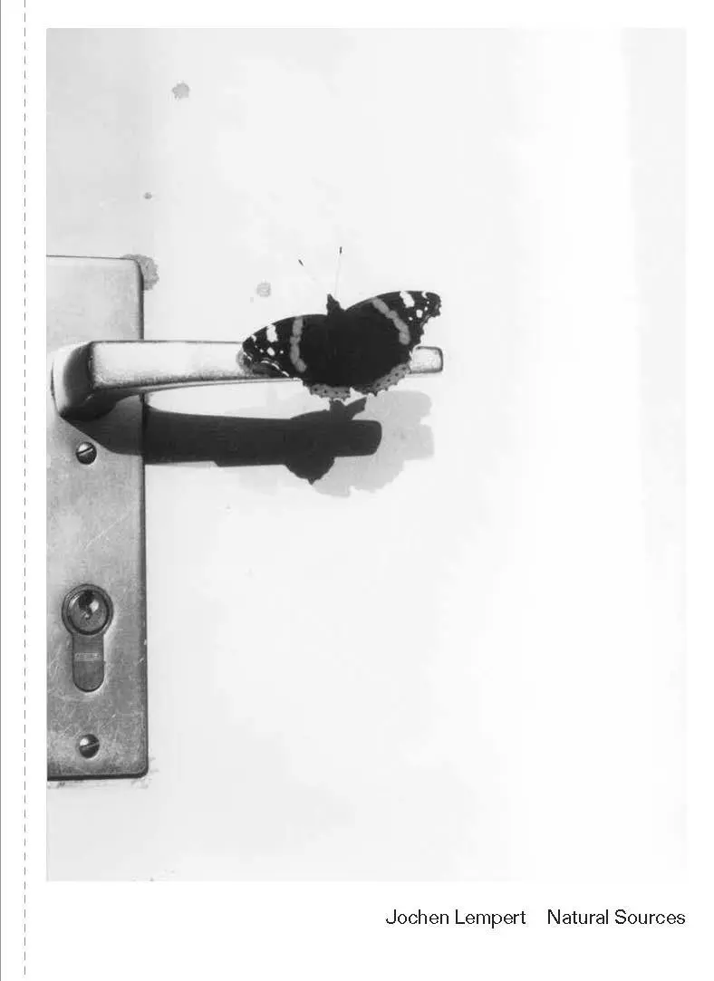 Cover: 9783753307428 | Jochen Lempert. Natural Sources (English) | Natural Sources | Lempert