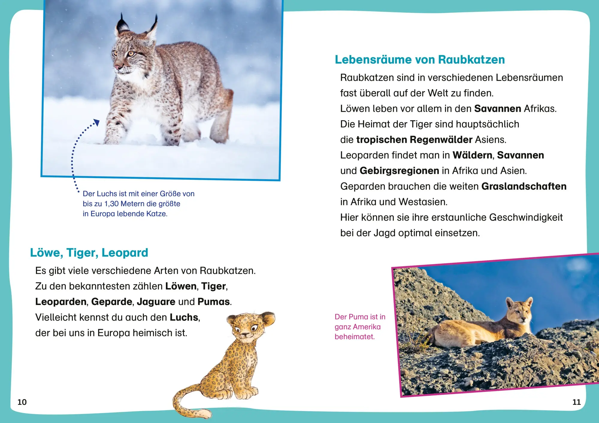 Bild: 9783788677428 | WAS IST WAS Erstes Lesen Leserätsel Heft 10. Raubkatzen | Grill | 2025