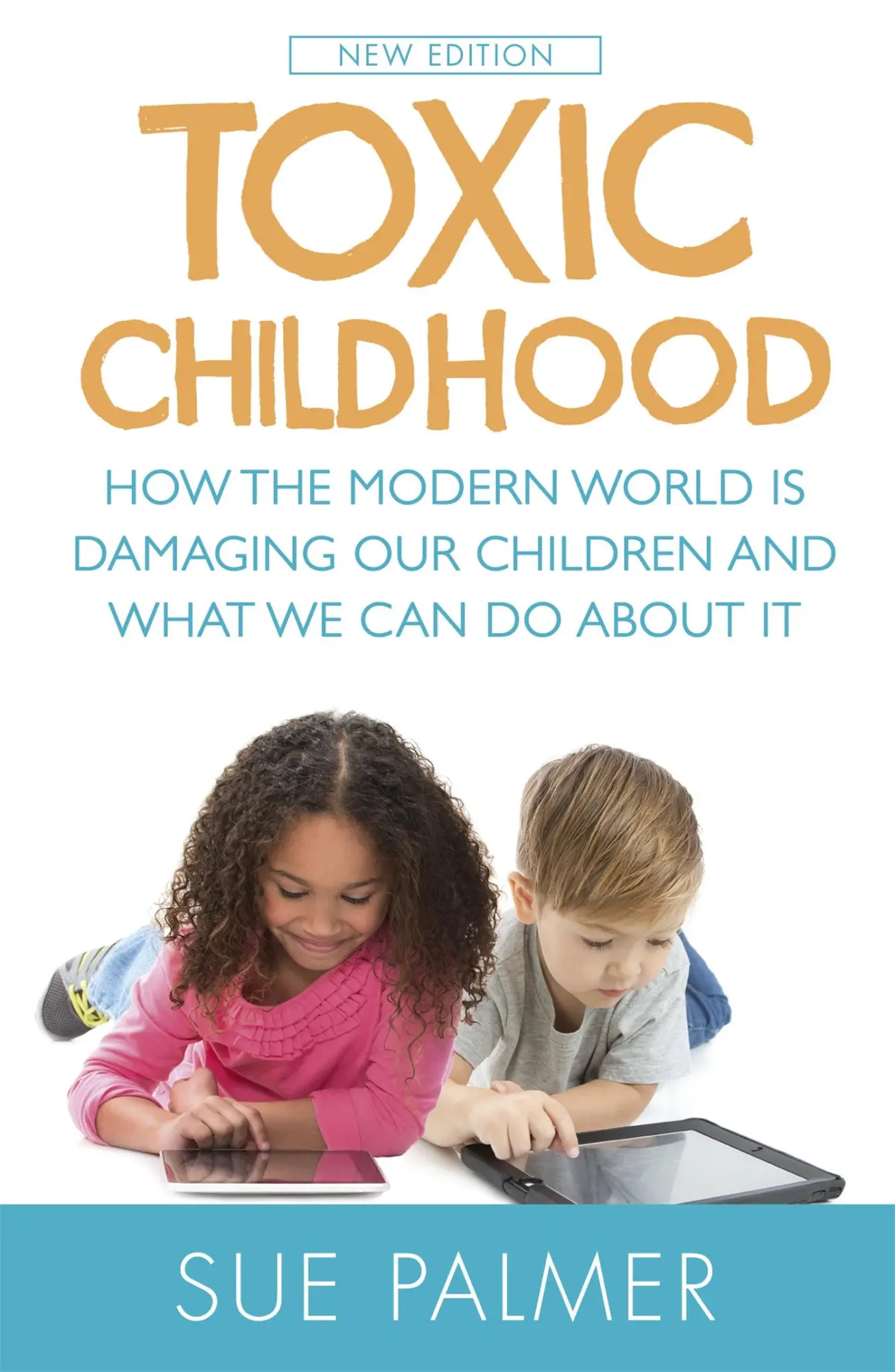 Cover: 9781409137528 | Toxic Childhood | Sue Palmer | Taschenbuch | Kartoniert / Broschiert