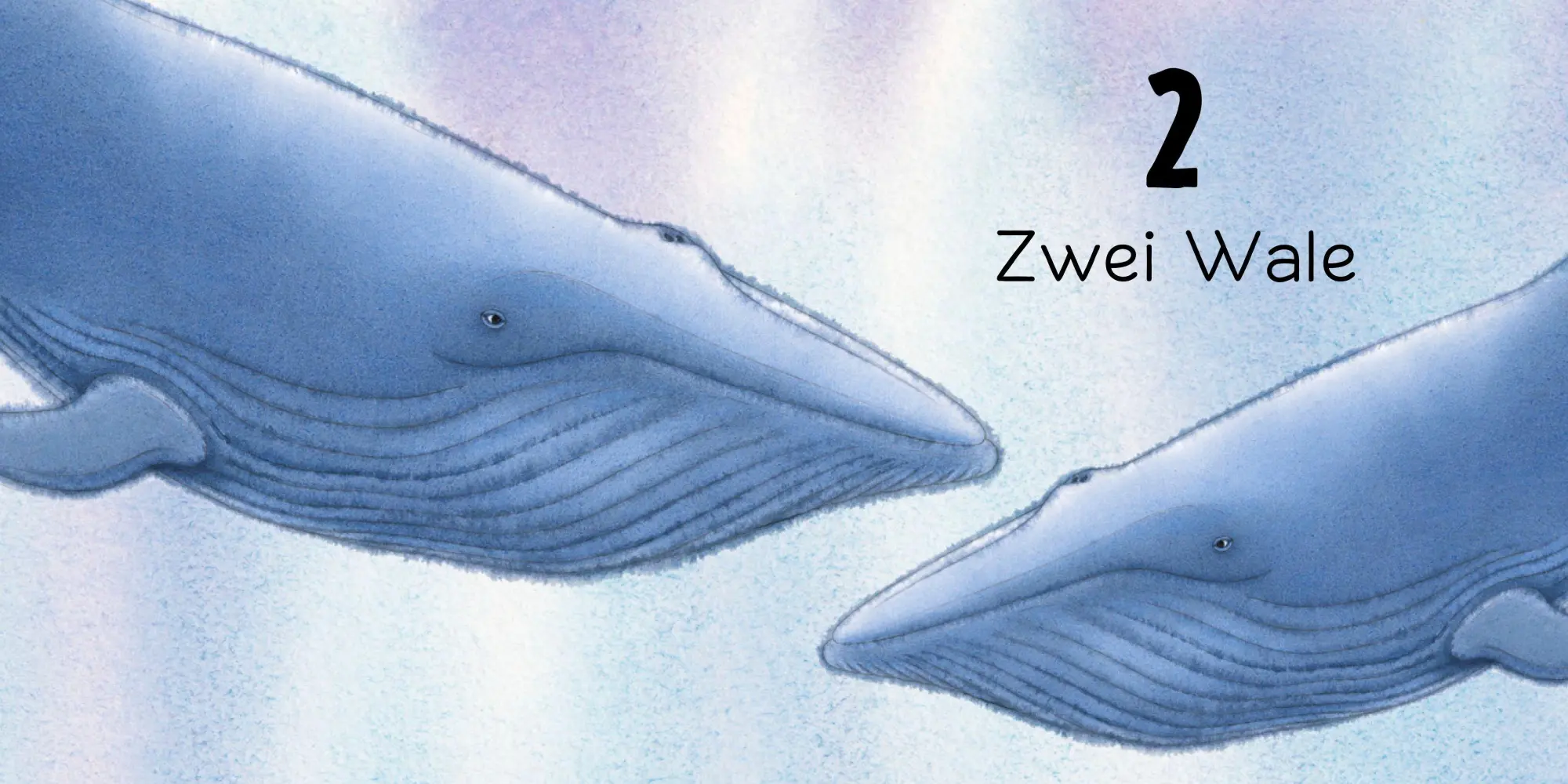 Bild: 9783314107528 | Der Regenbogenfisch Zahlen | Marcus Pfister | Buch | 24 S. | Deutsch