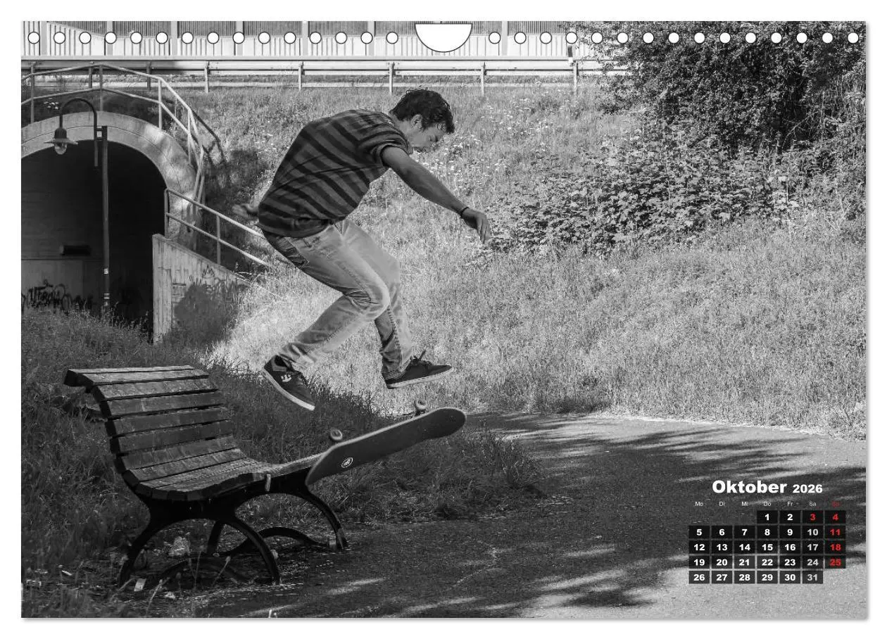 Bild: 9783516097528 | Auf dem Skateboard (Wandkalender 2026 DIN A4 quer), CALVENDO...